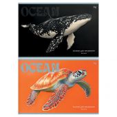 Альбом для рисования 32л., А4, на скрепке BG "Ocean" Альбом для рисования 32л., А4, на скрепке BG "Ocean"