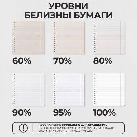 Тетрадь школьная А5 24л ГОЗНАК клетка 60 г/м2, белизна > 96%, злн, С492/5