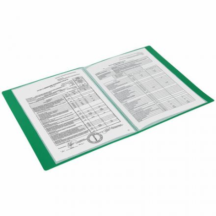 Папка 10 вкладышей BRAUBERG "Office", зеленая, 0,5 мм, 271323 Папка 10 вкладышей BRAUBERG "Office", зеленая, 0,5 мм, 271323