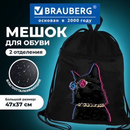 Мешок для обуви BRAUBERG, с петлёй, карман на молнии, 47х37 см, "Movie time", 270910