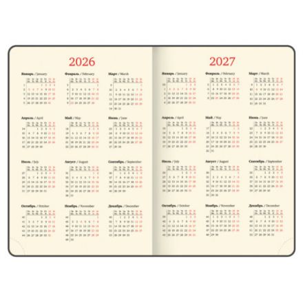 Ежедневник датированный 2026 БОЛЬШОЙ ФОРМАТ 210х297 мм, А4, BRAUBERG "Iguana", под кожу, коричневый, 117244