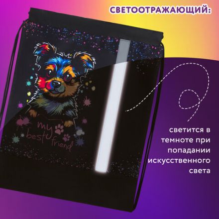Мешок для обуви ЮНЛАНДИЯ, плотный, светоотражающая полоса, 46х36 см, "True friend", 272410 Мешок для обуви ЮНЛАНДИЯ, плотный, светоотражающая полоса, 46х36 см, "True friend", 272410