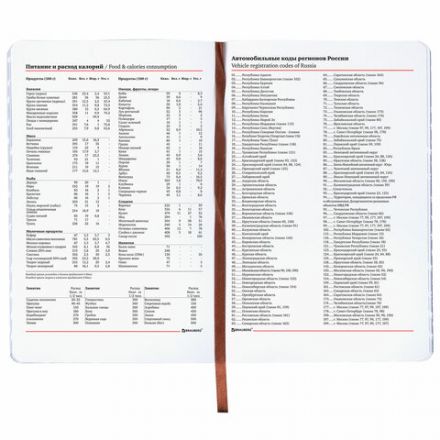 Ежедневник недатированный А5 (138х213 мм), BRAUBERG VISTA, под кожу, гибкий, 136 л., "Independence", 112006 Ежедневник недатированный А5 (138х213 мм), BRAUBERG VISTA, под кожу, гибкий, 136 л., "Independence", 112006