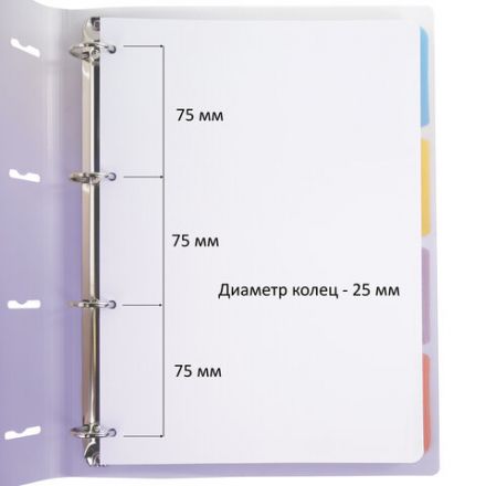Тетрадь на кольцах БОЛЬШАЯ 305х235 мм А4, 120 л., пластик, с разделителями, BRAUBERG, Фиолетовый, 404623 Тетрадь на кольцах БОЛЬШАЯ 305х235 мм А4, 120 л., пластик, с разделителями, BRAUBERG, Фиолетовый, 404623