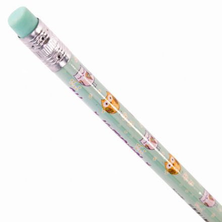 Карандаш чернографитный ЮНЛАНДИЯ "СОВУШКА", 1 шт., HB, с ластиком, корпус ассорти, 181772 Карандаш чернографитный ЮНЛАНДИЯ "СОВУШКА", 1 шт., HB, с ластиком, корпус ассорти, 181772