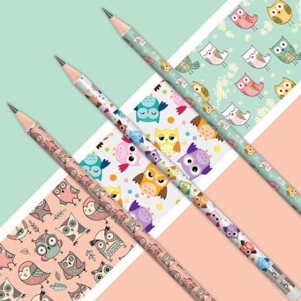 Карандаш чернографитный ЮНЛАНДИЯ "СОВУШКА", 1 шт., HB, с ластиком, корпус ассорти, 181772 Карандаш чернографитный ЮНЛАНДИЯ "СОВУШКА", 1 шт., HB, с ластиком, корпус ассорти, 181772