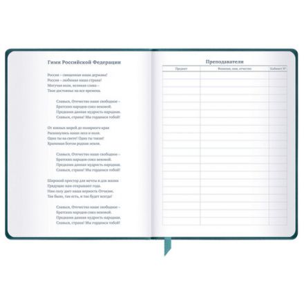 Дневник 1-11 класс 48 л., кожзам (твердая), печать, резинка, конверт, BRAUBERG, "Bright Lion", 106577 Дневник 1-11 класс 48 л., кожзам (твердая), печать, резинка, конверт, BRAUBERG, "Bright Lion", 106577