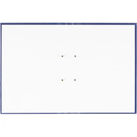 Папка ДИПЛОМНЫЙ ПРОЕКТ А4 бумвинил синяя (метал.болт)