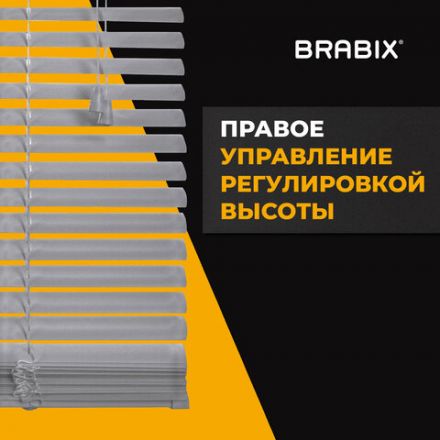 Жалюзи горизонтальные BRABIX 40х160 см, АЛЮМИНИЙ, цвет серебристый, 606031 Жалюзи горизонтальные BRABIX 40х160 см, АЛЮМИНИЙ, цвет серебристый, 606031