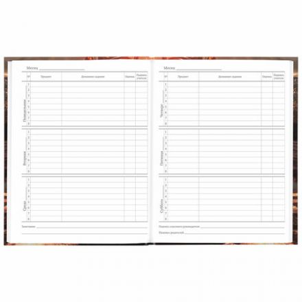 Дневник 5-11 класс 48 л., твердый, BRAUBERG, глянцевая ламинация, с подсказом, "Байк", 106867