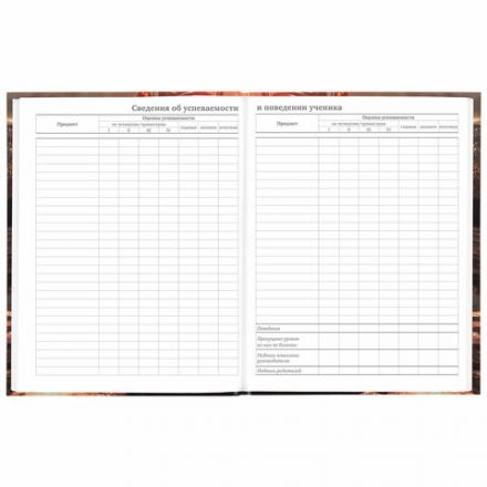 Дневник 5-11 класс 48 л., твердый, BRAUBERG, глянцевая ламинация, с подсказом, "Байк", 106867