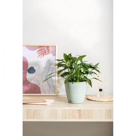 Горшок д/цветов Saffron D225мм,5,4л с поддоном (светло-зеленый),221610317 Горшок д/цветов Saffron D225мм,5,4л с поддоном (светло-зеленый),221610317