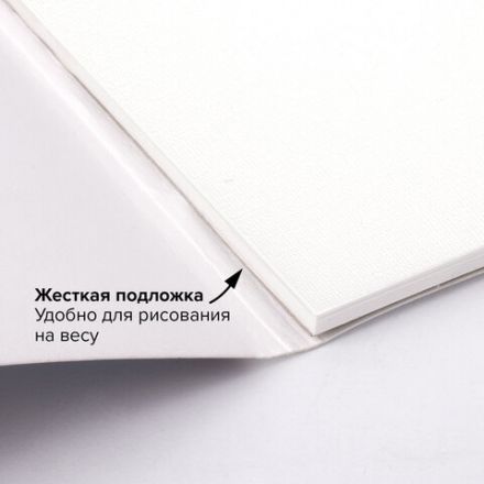 Папка для акварели/планшет, 300 г/м2, 270х390 мм, склейка, крупное зерно, 20 л., BRAUBERG ART PREMIERE, 113250 Папка для акварели/планшет, 300 г/м2, 270х390 мм, склейка, крупное зерно, 20 л., BRAUBERG ART PREMIERE, 113250