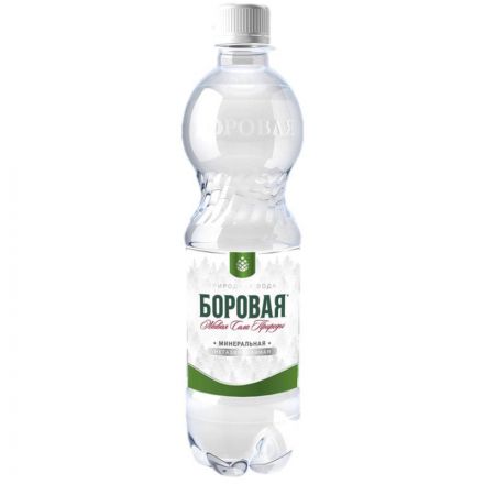 Вода минеральная BOROVAYA природная негазированная 0,5л Вода минеральная BOROVAYA природная негазированная 0,5л