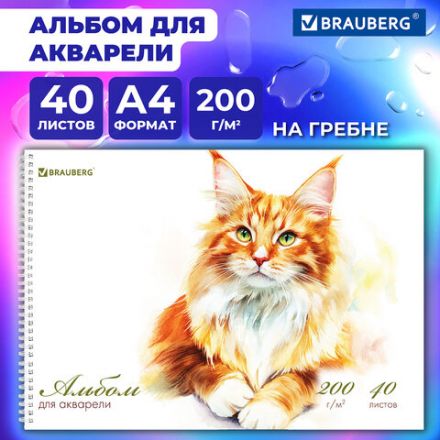 Альбом для акварели А4 40 л., бумага 200 г/м2, гребень, твердая подложка, BRAUBERG, "Мейн-кун", 116884 Альбом для акварели А4 40 л., бумага 200 г/м2, гребень, твердая подложка, BRAUBERG, "Мейн-кун", 116884