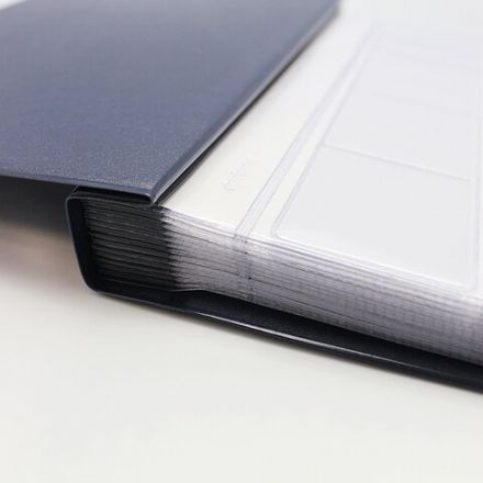 Альбом для монет и купюр на винтах универсальный, 224х224 мм, на 216 монет до D-45 мм, выдвижные карманы, синий, "ДПС", 2855-201 Альбом для монет и купюр на винтах универсальный, 224х224 мм, на 216 монет до D-45 мм, выдвижные карманы, синий, "ДПС", 2855-201