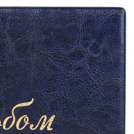 Альбом для монет и купюр на винтах универсальный, 224х224 мм, на 216 монет до D-45 мм, выдвижные карманы, синий, "ДПС", 2855-201 Альбом для монет и купюр на винтах универсальный, 224х224 мм, на 216 монет до D-45 мм, выдвижные карманы, синий, "ДПС", 2855-201