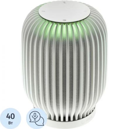 Умная колонка Sber SberBoom, светло-серый (SBDV-00090C) Умная колонка Sber SberBoom, светло-серый (SBDV-00090C)