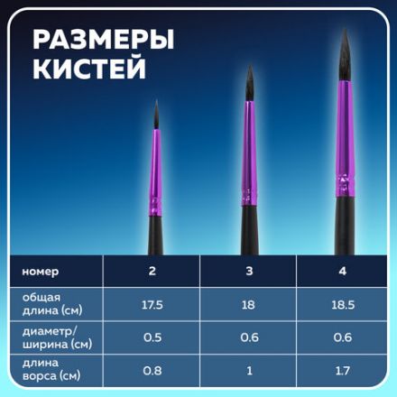 Кисти BRAUBERG PREMIUM, набор 3 шт. (беличьи круглые № 2, 3, 4), блистер, 201020 Кисти BRAUBERG PREMIUM, набор 3 шт. (беличьи круглые № 2, 3, 4), блистер, 201020