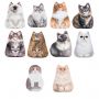 Игрушка мягкая АНТИСТРЕСС "КОШКИ", Бифлекс, ассорти, высота 30 см, 10 видов, WOOZOO (ВУЗУ), 666359 Игрушка мягкая АНТИСТРЕСС "КОШКИ", Бифлекс, ассорти, высота 30 см, 10 видов, WOOZOO (ВУЗУ), 666359