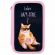 Пенал ПИФАГОР, 3 отделения, ламинированный картон, 19х11 см, "Lazy cat", 272252 Пенал ПИФАГОР, 3 отделения, ламинированный картон, 19х11 см, "Lazy cat", 272252