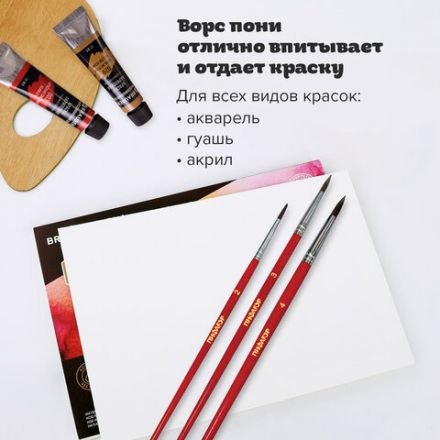 Кисти ПИФАГОР, набор 3 шт. (ПОНИ: круглые № 2, 3, 4), пакет с европодвесом, 200227 Кисти ПИФАГОР, набор 3 шт. (ПОНИ: круглые № 2, 3, 4), пакет с европодвесом, 200227