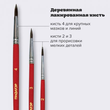 Кисти ПИФАГОР, набор 3 шт. (ПОНИ: круглые № 2, 3, 4), пакет с европодвесом, 200227 Кисти ПИФАГОР, набор 3 шт. (ПОНИ: круглые № 2, 3, 4), пакет с европодвесом, 200227