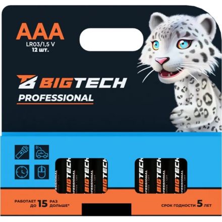Батарейка BigTech Professional ААA/LR03 уп/12шт Батарейка BigTech Professional ААA/LR03 уп/12шт