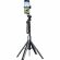 Штатив с четырьмя опорами UGREEN LP849 (45301) 4-Leg BT Selfie Stick черный Штатив с четырьмя опорами UGREEN LP849 (45301) 4-Leg BT Selfie Stick черный