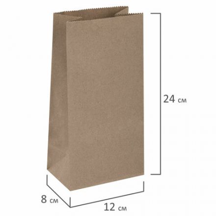 Крафт-пакет бумажный 12х8х24 см, КОМПЛЕКТ 100 шт., плотность 90 г/м2, LAIMA ECO CRAFT, 609682 Крафт-пакет бумажный 12х8х24 см, КОМПЛЕКТ 100 шт., плотность 90 г/м2, LAIMA ECO CRAFT, 609682