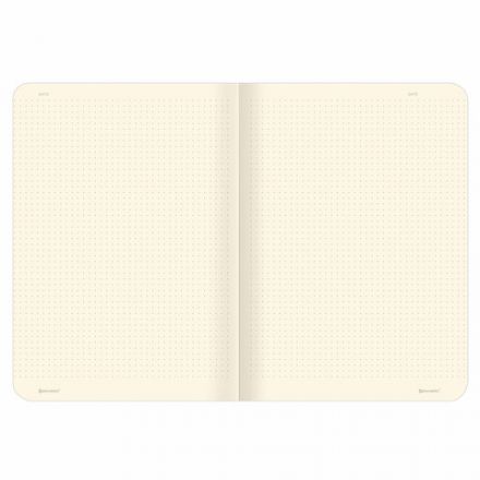 Тетради 40 л. в точку обложка SoftTouch, НАБОР 3 шт., бежевая бумага 70 г/м2, сшивка, А5 (147х210 мм), MEMORIES,BRAUBERG, 403803 Тетради 40 л. в точку обложка SoftTouch, НАБОР 3 шт., бежевая бумага 70 г/м2, сшивка, А5 (147х210 мм), MEMORIES,BRAUBERG, 403803