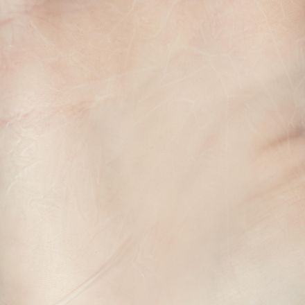 Перчатки виниловые (производитель Blue Sail), (XL), 50 пар/уп Перчатки виниловые (производитель Blue Sail), (XL), 50 пар/уп