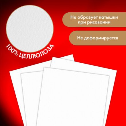 Бумага для акварели 300 г, 270x390 мм, мелкое зерно, 10 листов, BRAUBERG ART PREMIERE, 115334 Бумага для акварели 300 г, 270x390 мм, мелкое зерно, 10 листов, BRAUBERG ART PREMIERE, 115334