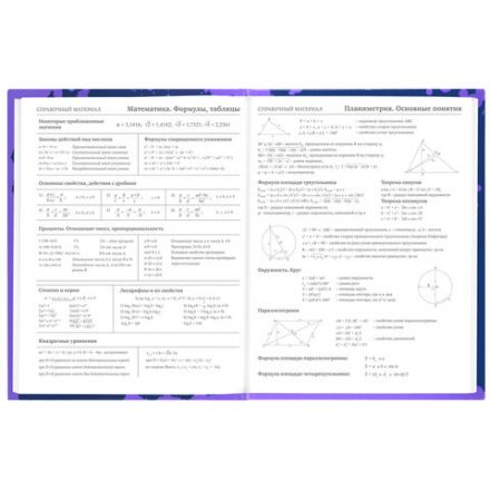 Дневник 5-11 класс 48 л., твердый, BRAUBERG, глянцевая ламинация, с подсказом, "GAMER", 106629