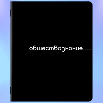 Тетради предметные, КОМПЛЕКТ 12 ПРЕДМЕТОВ, 48 л., обложка картон, BRAUBERG "BLACK", 405164