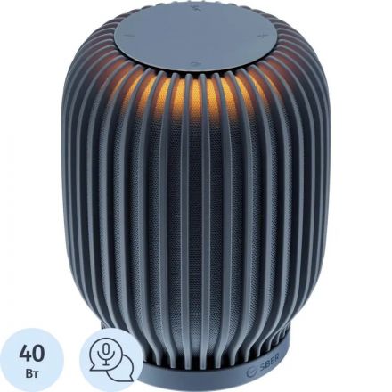 Умная колонка Sber SberBoom, лунный серый (SBDV-00090S) Умная колонка Sber SberBoom, лунный серый (SBDV-00090S)