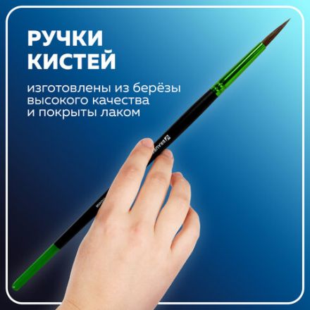 Кисти BRAUBERG PREMIUM, набор 3 шт. (из ворса пони круглые № 2, 4, 7), блистер, 201021