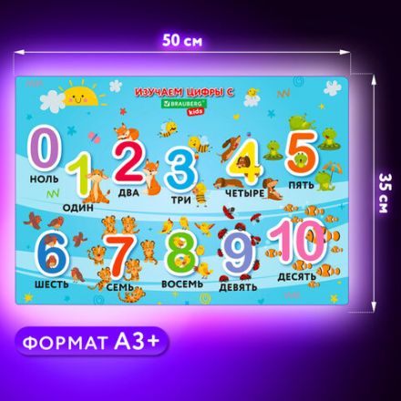Настольное покрытие BRAUBERG KIDS для труда и творческих занятий, ПВХ, "Numbers", 50х35 см, 272361 Настольное покрытие BRAUBERG KIDS для труда и творческих занятий, ПВХ, "Numbers", 50х35 см, 272361