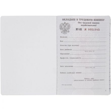 Бланк Вкладыш к трудовой книжке (новый 2023г) Бланк Вкладыш к трудовой книжке (новый 2023г)