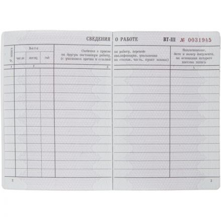 Бланк Вкладыш к трудовой книжке (новый 2023г) Бланк Вкладыш к трудовой книжке (новый 2023г)