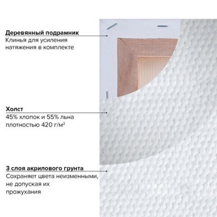 Холст на подрамнике BRAUBERG ART CLASSIC, 50х60 см, 420 г/м2, 45% хлопок 55% лен, среднее зерно, 191659 Холст на подрамнике BRAUBERG ART CLASSIC, 50х60 см, 420 г/м2, 45% хлопок 55% лен, среднее зерно, 191659