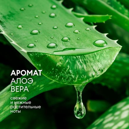 Крем-мыло жидкое ПРОФ ароматизированное Grass/MILANA Алоэ вера, 5л Крем-мыло жидкое ПРОФ ароматизированное Grass/MILANA Алоэ вера, 5л