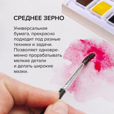 Бумага для акварели 300 г, 270x390 мм, среднее зерно, 10 листов, BRAUBERG ART PREMIERE, 115335 Бумага для акварели 300 г, 270x390 мм, среднее зерно, 10 листов, BRAUBERG ART PREMIERE, 115335