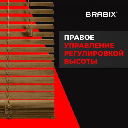 Жалюзи горизонтальные BRABIX 70х155 см, ПЛАСТИК, под дерево, бежевый, 608622 Жалюзи горизонтальные BRABIX 70х155 см, ПЛАСТИК, под дерево, бежевый, 608622