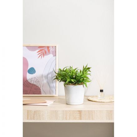 Горшок д/цветов Oregano D160мм,2л с прикорн поливом (мраморн),221602433 Горшок д/цветов Oregano D160мм,2л с прикорн поливом (мраморн),221602433