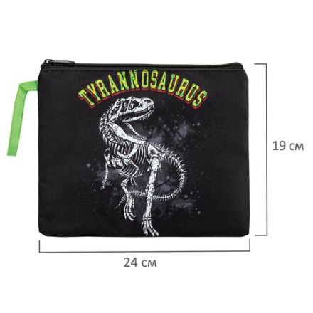 Папка для тетрадей BRAUBERG А5, 1 отделение, полиэстер, на молнии, с ручкой, "Tyrannosaur", 272203
