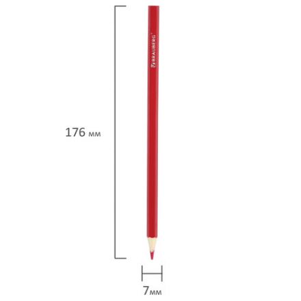 Карандаши цветные BRAUBERG "My lovely dogs", 12 цветов, шестигранные, грифель 3 мм, натуральное дерево, 180531 Карандаши цветные BRAUBERG "My lovely dogs", 12 цветов, шестигранные, грифель 3 мм, натуральное дерево, 180531