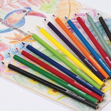 Карандаши цветные BRAUBERG "My lovely dogs", 12 цветов, шестигранные, грифель 3 мм, натуральное дерево, 180531 Карандаши цветные BRAUBERG "My lovely dogs", 12 цветов, шестигранные, грифель 3 мм, натуральное дерево, 180531