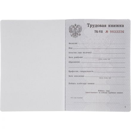 Бланк Трудовая книжка (новый 2023г) Бланк Трудовая книжка (новый 2023г)