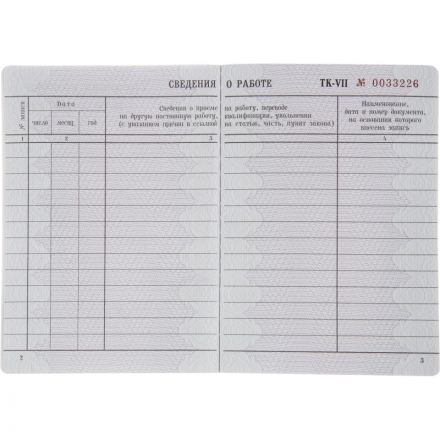 Бланк Трудовая книжка (новый 2023г) Бланк Трудовая книжка (новый 2023г)